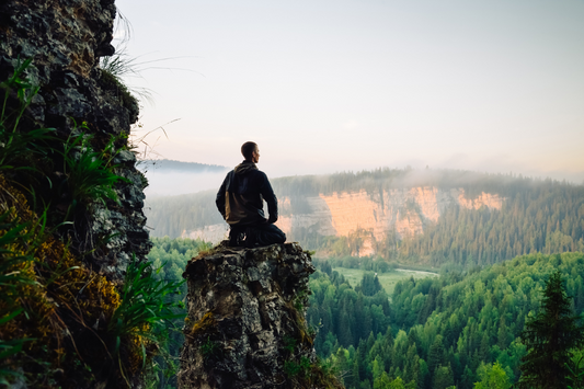 Understanding the science of mindfulness; by Flowering Phoenix