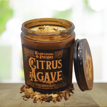 Citrus Agave Candle - Amber Jar