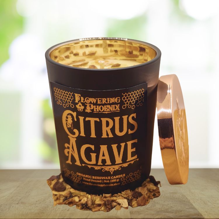 Citrus Agave Candle - Luxury Jar