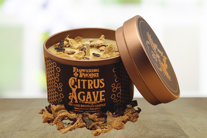 Citrus Agave Candle - Travel Size Tin